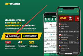 The Thrill of Sports Betting A Comprehensive Guide for Beginners The Thrill of Sports Betting A Comprehensive Guide for Beginners