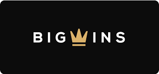 BigWins Online Casino: Player Ratings & Our Decision
