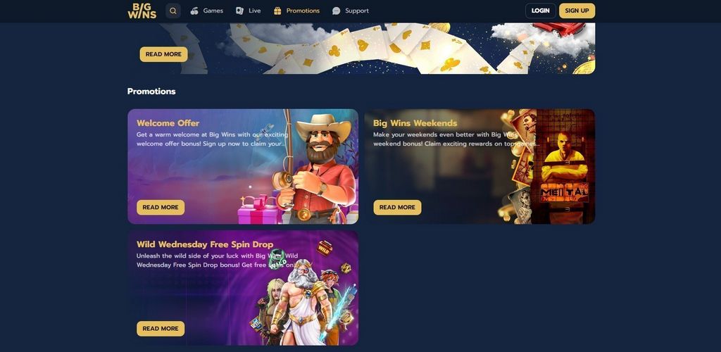 BigWins Online Casino Testimonial 2025 - Exclusive Perk & Gamings